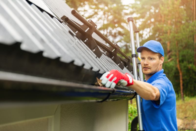 Expert Gutter Cleaning