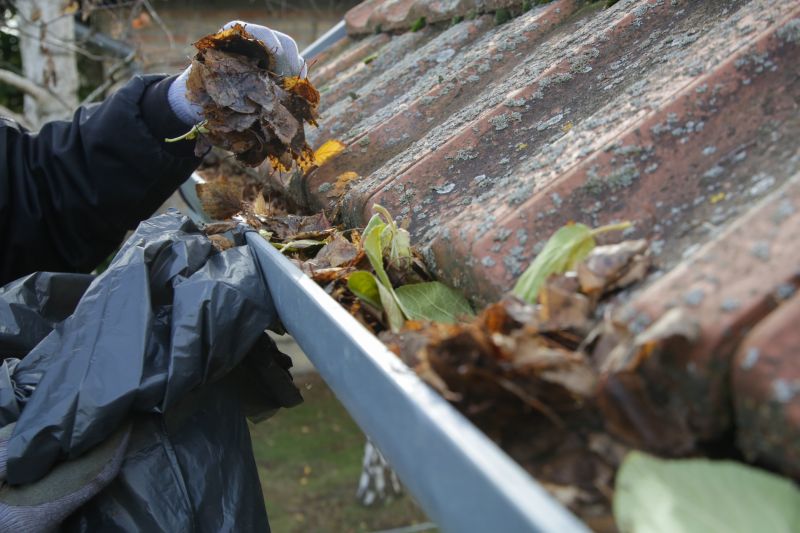 Fall Gutter Preparation